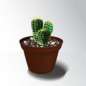 cactus
